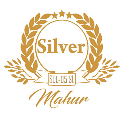 SILVER SCL-05GL MAHUR / Pro Serisi Abanoz G (Sol) Klarnet (Gold Aksam)
